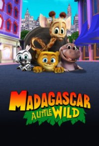 Madagascar: A Little Wild Cover, Poster, Blu-ray,  Bild