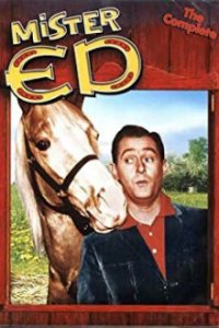 Mr. Ed Cover, Mr. Ed Poster