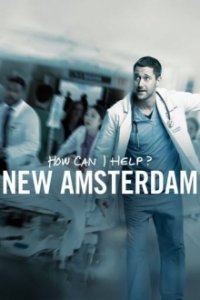 New Amsterdam Cover, Poster, Blu-ray,  Bild