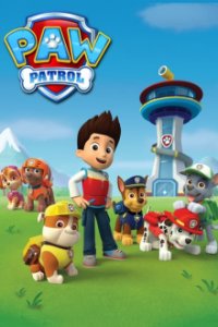 PAW Patrol Cover, Poster, Blu-ray,  Bild