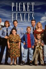 Cover Picket Fences, Poster, Stream