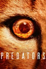 Cover Predators - Jäger in Gefahr, Poster, Stream