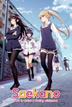 Cover Saenai Heroine no Sodatekata, Poster, Stream