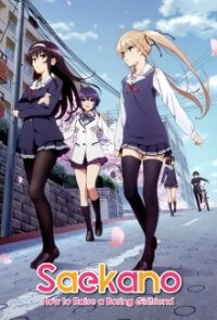 Cover Saenai Heroine no Sodatekata, TV-Serie, Poster