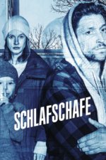 Cover Schlafschafe, Poster Schlafschafe