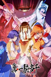 Cover Shin Ikki Tousen, Poster, HD