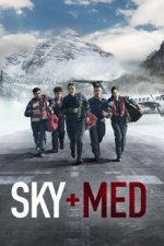 Staffel 1 Cover, Poster