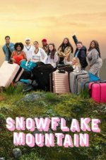 Cover Snowflake Mountain, Poster, Stream