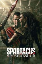 Cover Spartacus: Das Haus Ashur, Poster, Stream