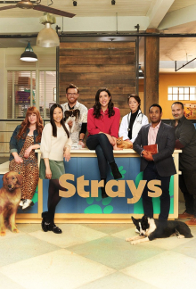 Strays, Cover, HD, Serien Stream, ganze Folge