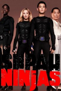 Supah Ninjas Cover, Supah Ninjas Poster