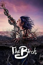 Cover The Birch, Poster, Stream