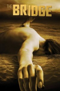 The Bridge - America Cover, Online, Poster