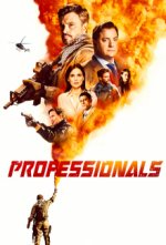 Cover The Professionals – Gefahr ist ihr Geschäft, Poster, Stream