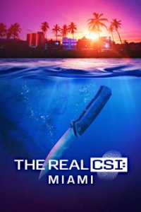 Poster, The Real CSI: Miami Serien Cover