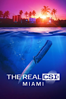 The Real CSI: Miami, Cover, HD, Serien Stream, ganze Folge