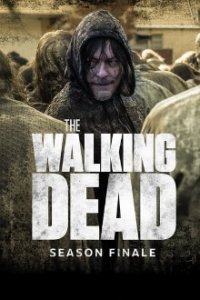 The Walking Dead Cover, Poster, Blu-ray,  Bild