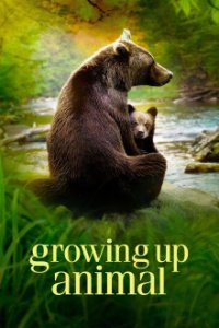 Tierisch gute Erziehung Cover, Online, Poster