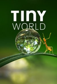 Tiny World Cover, Poster, Blu-ray,  Bild