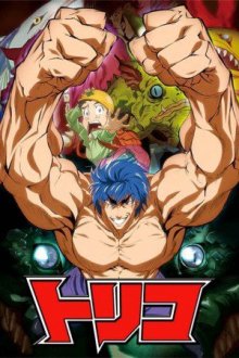 Cover Toriko, Poster Toriko