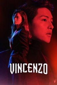 Vincenzo Cover, Poster, Vincenzo DVD