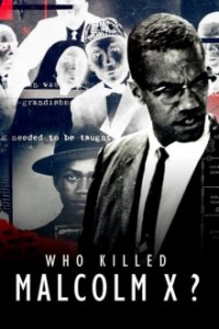 Wer hat Malcolm X umgebracht? Cover, Poster, Blu-ray,  Bild