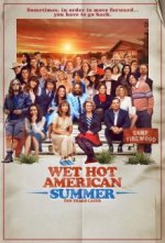 Cover Wet Hot American Summer: Zehn Jahre später, Poster, Stream