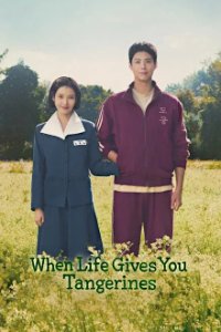 Cover When Life Gives You Tangerines, Poster When Life Gives You Tangerines, DVD