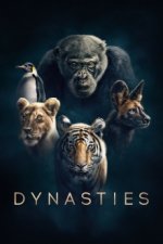 Cover Wilde Dynastien - Die Clans der Tiere, Poster, Stream