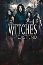 Cover Witches of East End, Poster, Stream