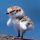 User Nerdkaiser, Profilbild, Avatar
