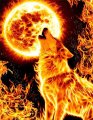Profilbild Jason_X, Avatar