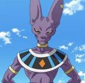 User beerus-sama, Profilbild