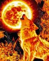 Profilbild Jason_X, Avatar