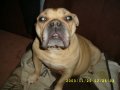 User Wilfried-susemihl, Profilbild