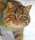 Profilbild Jadsert942, Avatar, Streaming-Nuzter